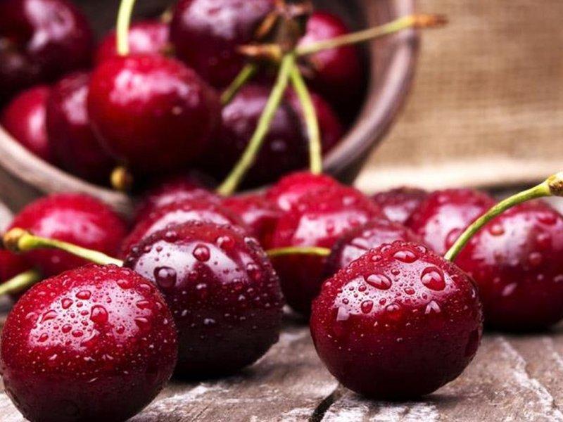 Вишня купить саженцы из питомника в Васильевке